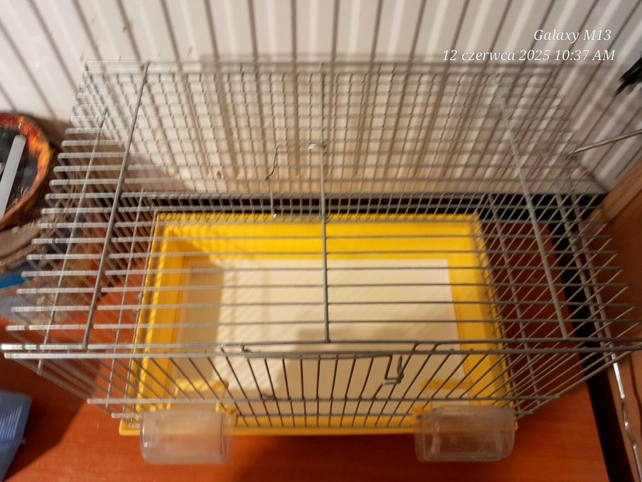 Klatka dla kanarka stan bdb