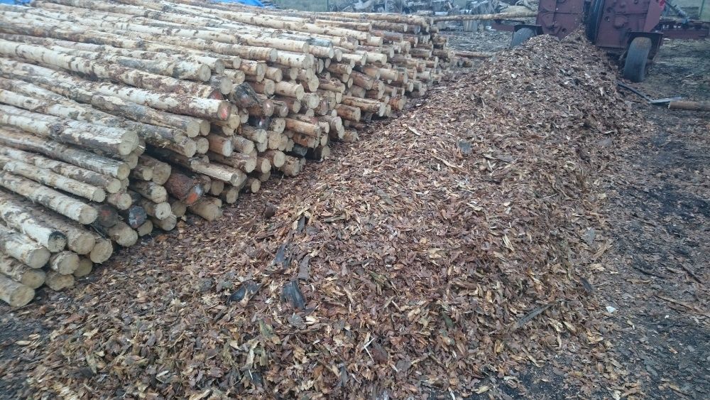 Kora sosnowa gruba dekoracyjna ozdobna ogrodowa