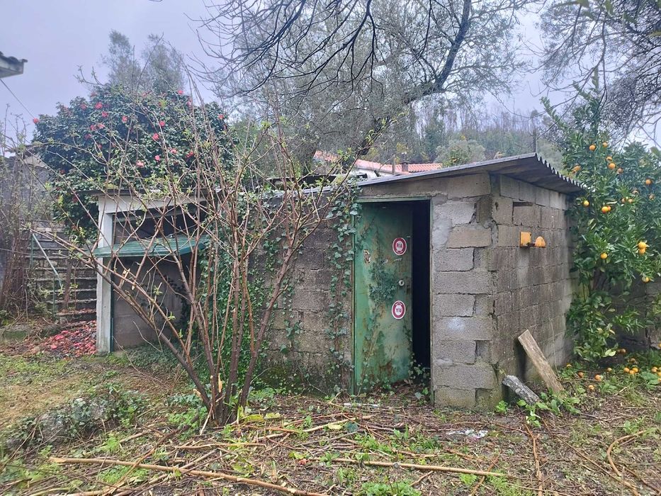 Duas casas em ruina com amplo terreno  todo murado.