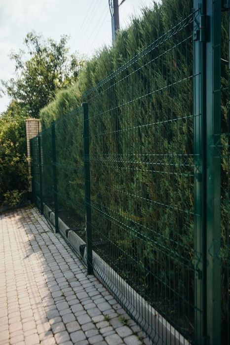 Заборы из сварной 3д сетки