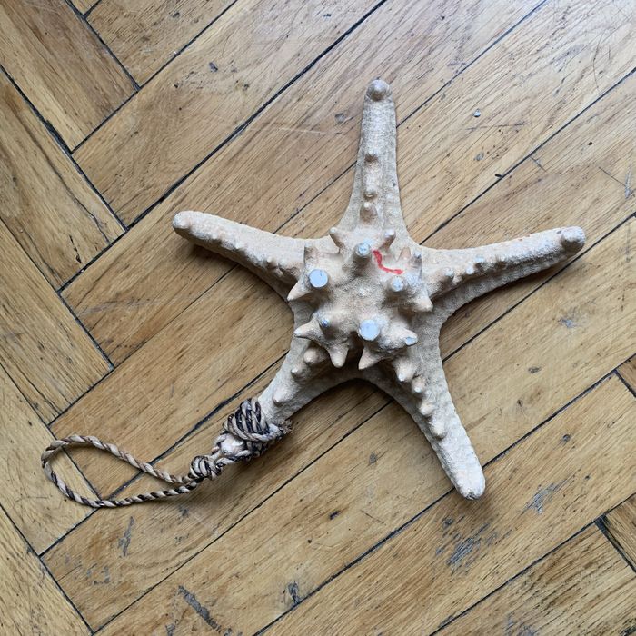 Морська зірка натуральна велика