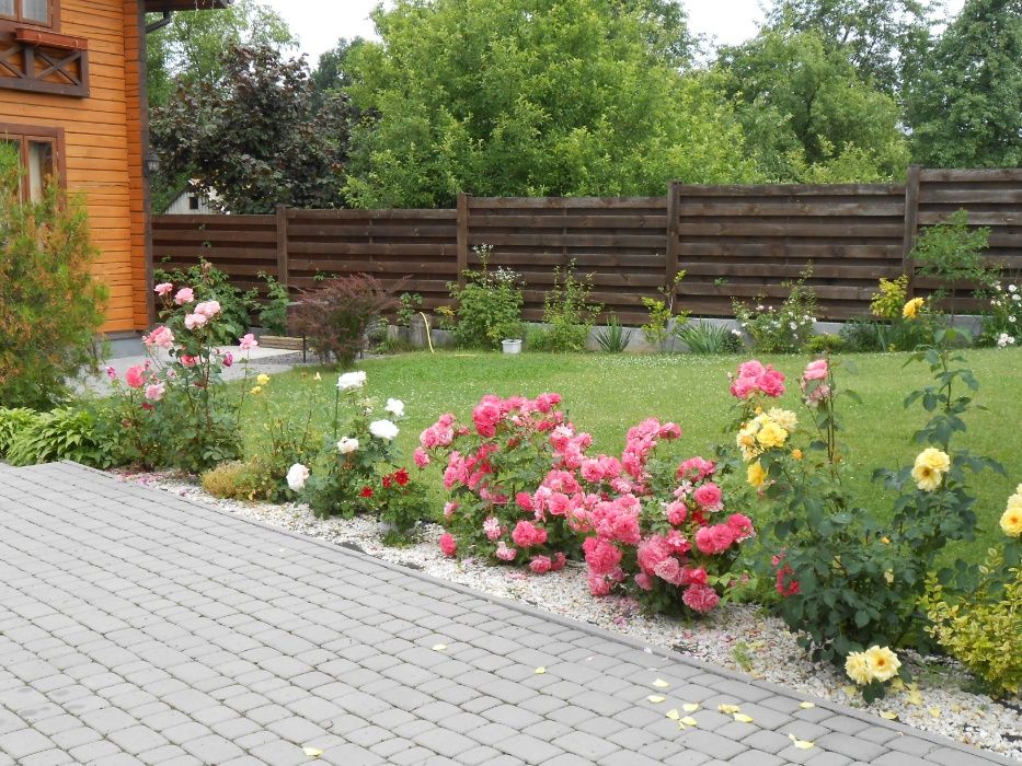 ЕКО Дім на Брюховецькій. Подобово.