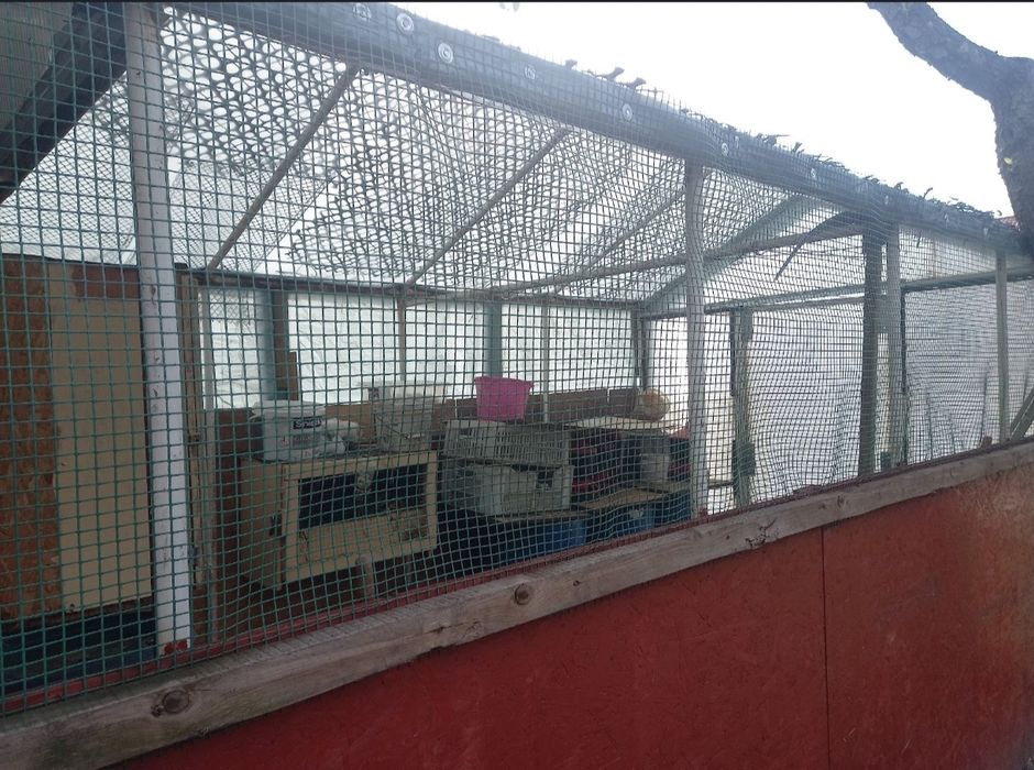 Szklarnia szklarnia polecam