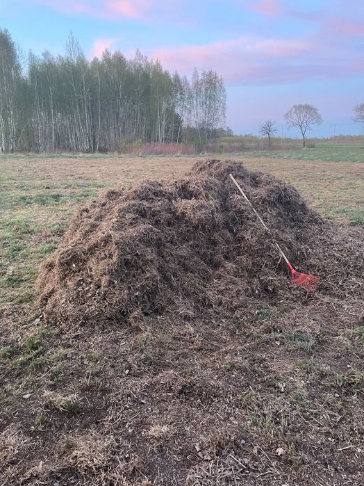 Siano Skoszona Trawa