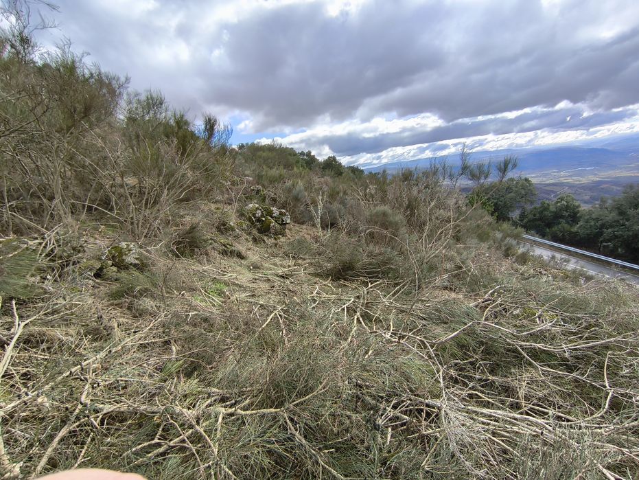 Terreno rustico SAMBADE