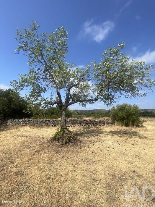 Terreno em Santa Catarina da Fonte do Bispo de 10000,00 m2