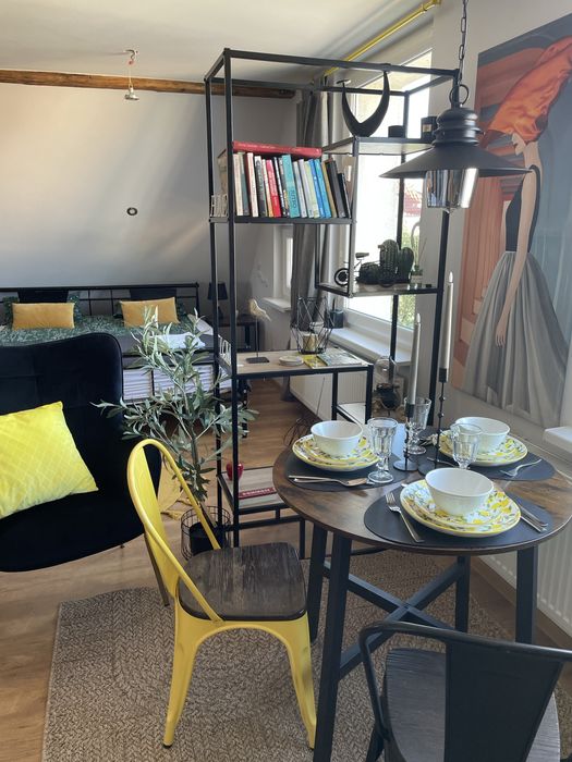 Apartament Loft  103  do wynajecia