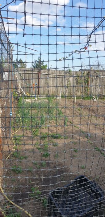 Ділянка 18,5 сот поруч з лісом, пилорама, госп.будівлі,с. Сінгури