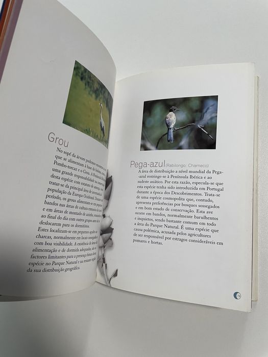 Livro Aves do Parque Natural do Vale do Guadiana