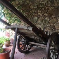 Carro de boi Beira Litoral