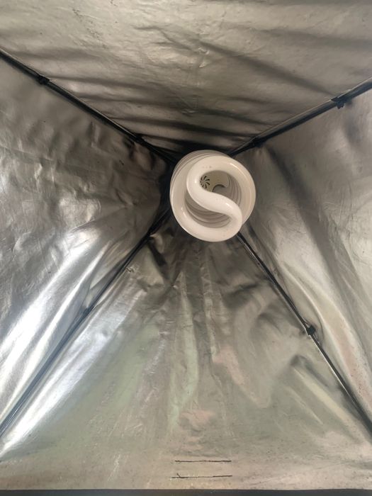 Material Luz tripés para estudio fotografía com 2 lampadas