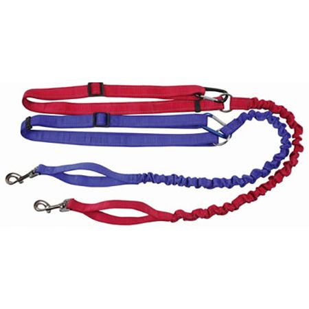 NOVO - Trela de CORRIDA cani-cross 25mm x 150cm até 240cm