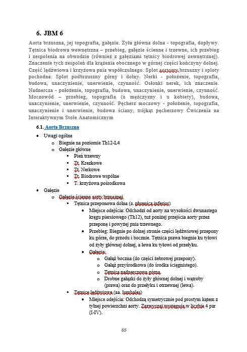 Notatki Anatomia WUM Lekarski