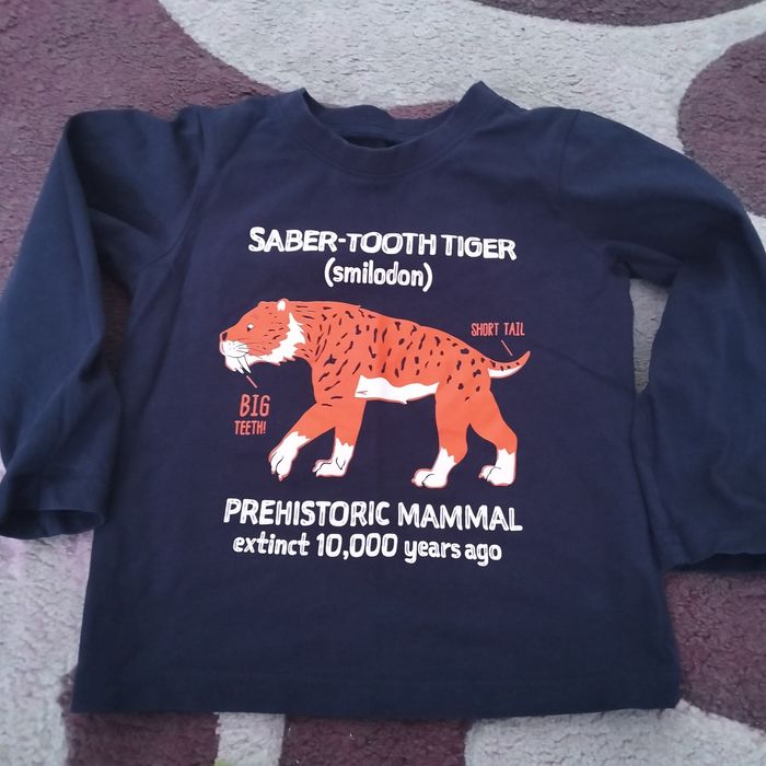 Продам для хлопчика лонги, кофта двонитка, кофта на замочку.