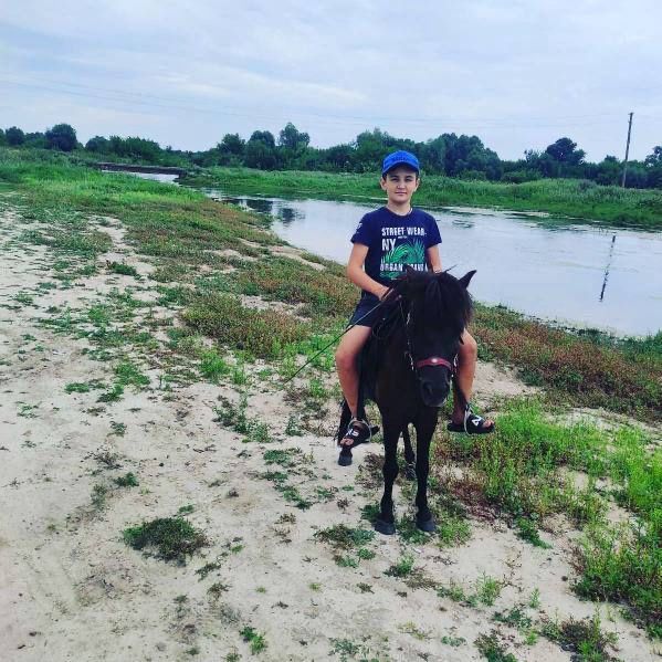 Поні кобилка 8 років