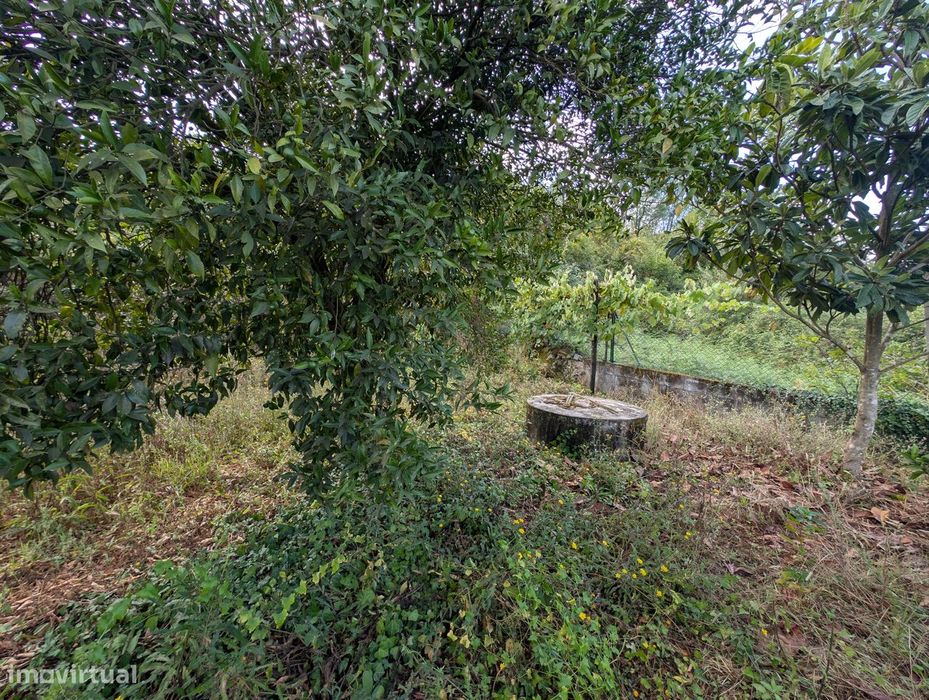 Terreno Misto em Vilaça – 1.100 m²