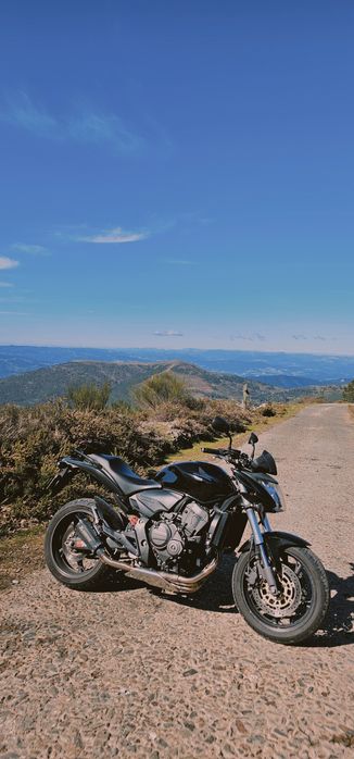 Honda Hornet 600