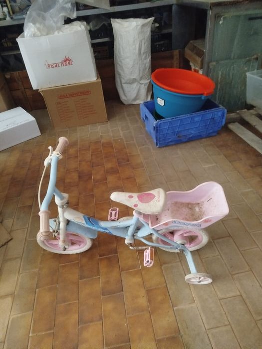 Bicicleta menina