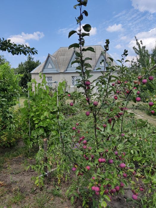 Продаж Будинку с.Трушки Київської області Білоцерківського району