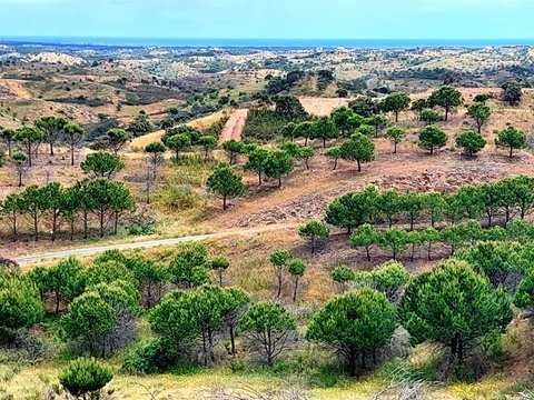 Terreno Rústico 4 Hectares – Algarve – Vista Mar e Poço — Faro (Sé E São Pedro), Faro