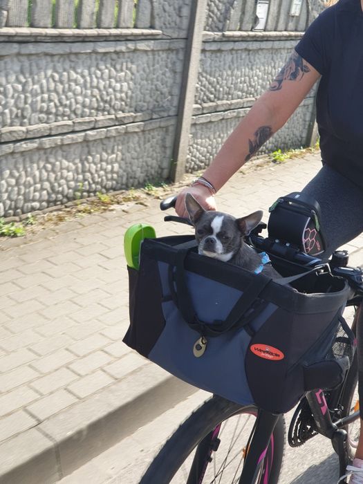 Torba rowerowa dla psa