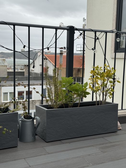 Dois vasos Amazon exterior