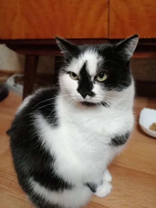 Пошук найкращих батьків