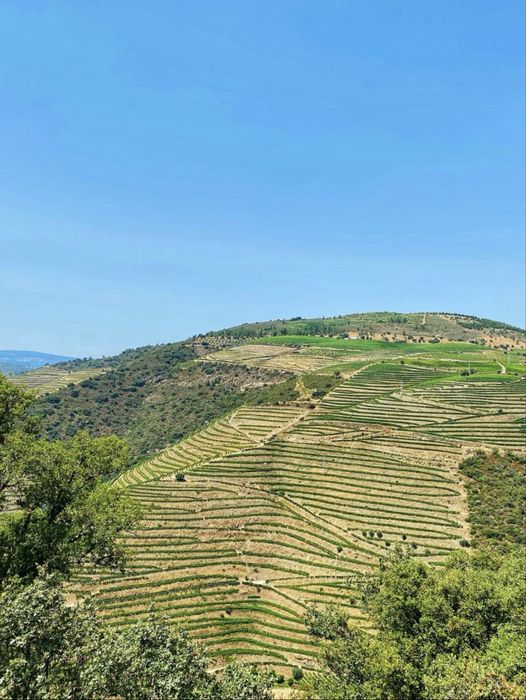 Quinta da Abelheira