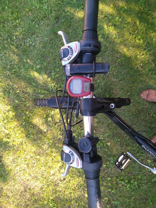 Rower Winner 26"