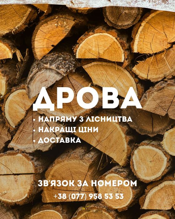Продаємо ДРОВА гуртом та роздріб. Криве Озеро