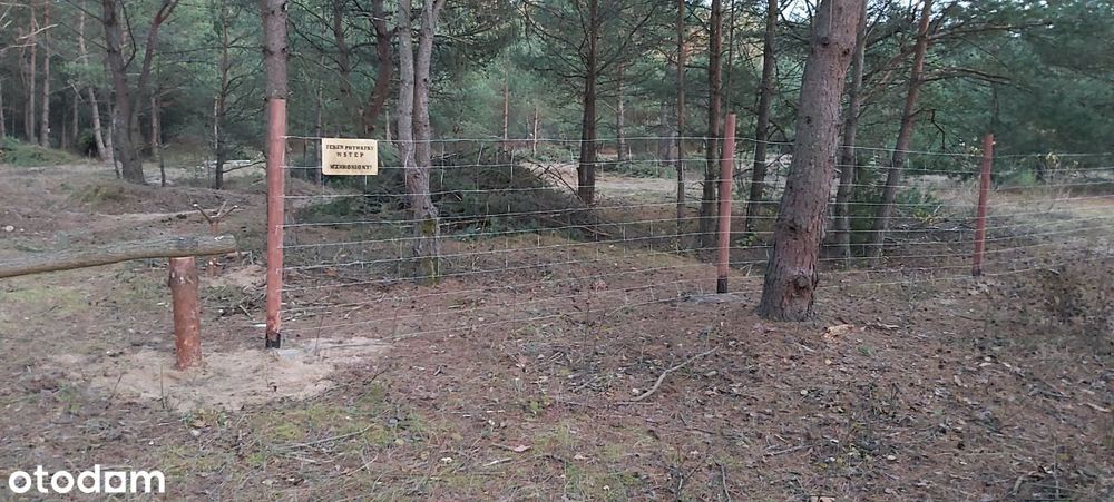 Puszcza Notecka Tanie działki budowlane bezpośrednio 50km od Poznania