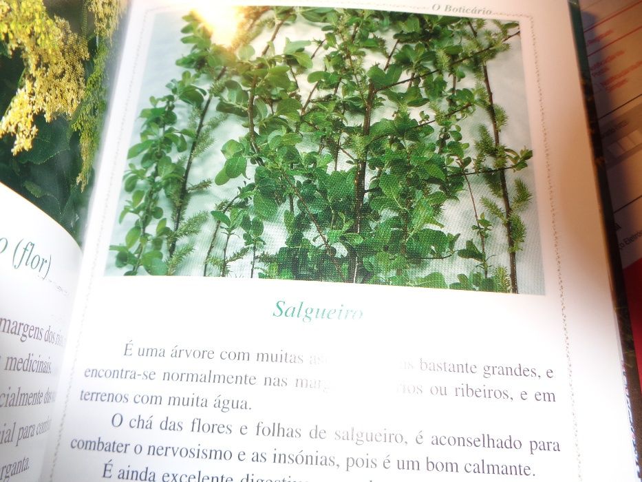 Livro O Boticário Aloés o cacto qe cura o Cancro?