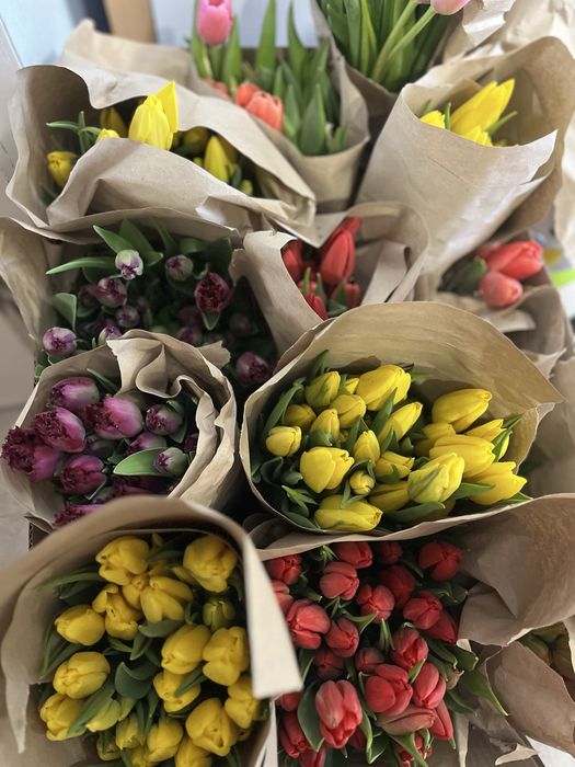 Тюльпан. Гіацинт. Опт. Знижки при замовленні 5000 та 10000