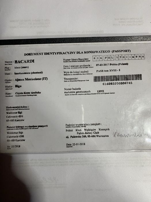 Vendo Egua PSA, Laza, Bacardi