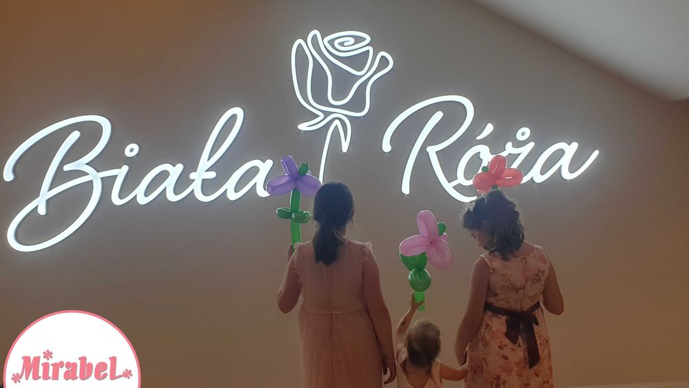 Animator dla dzieci / animacje na urodziny, wesela, pikniki, dmuchańce