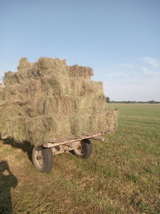 siano kostka prosto z łąk paczkowane