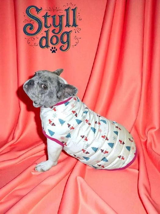 Одежда для собак