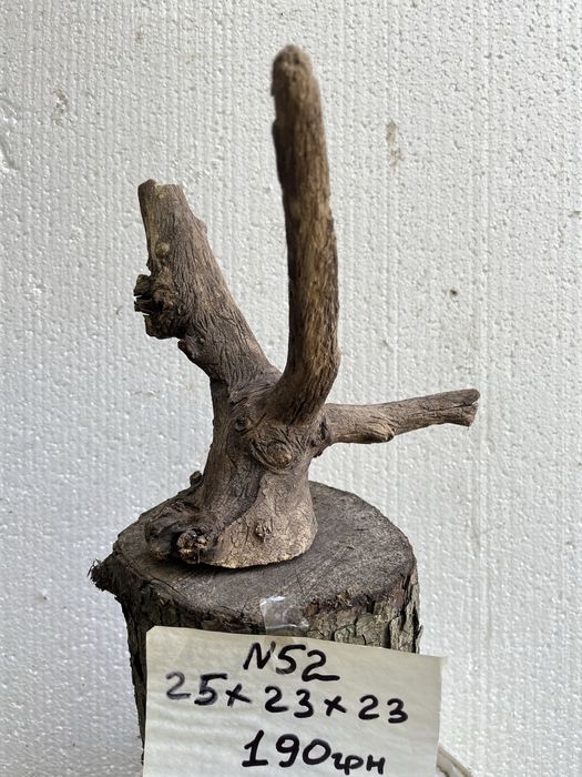 Коряги в акваріум