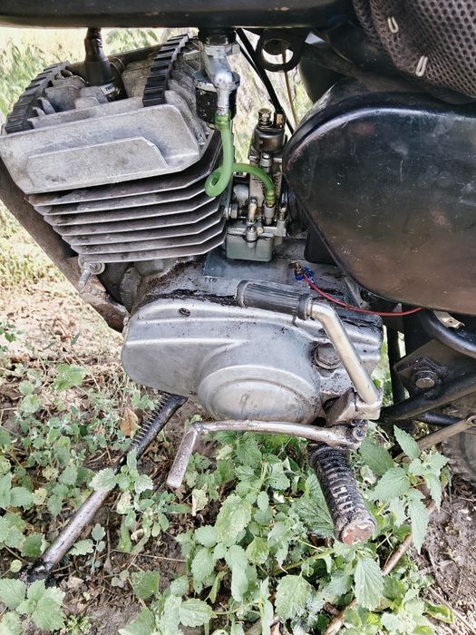 Рарітєт завжди в моді