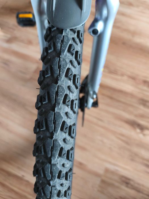 Rower Giant Live Enacht 24