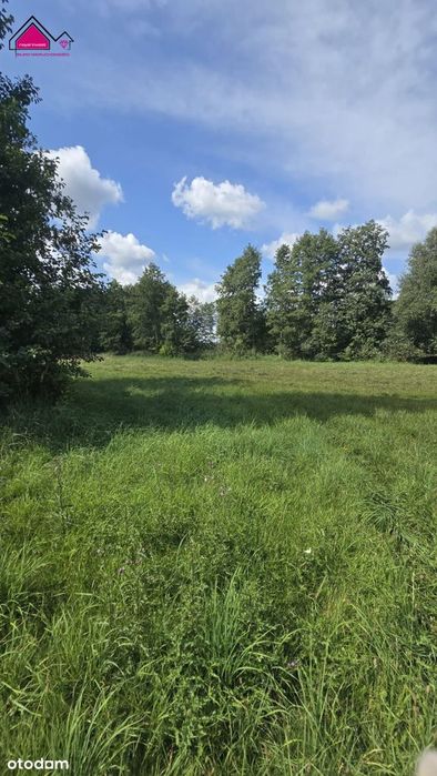 Malownicza działka 1430m² przy stawie, Tręby Stare - Widok 2