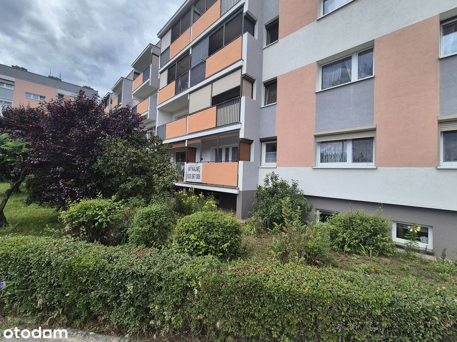 Mieszkanie Na Parterze, Las, Balkon, Klimatyzacja - Najem Leszno - View 3