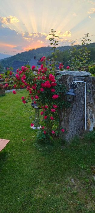 Apartamenty i pokoje Czarodziejka Międzygórze