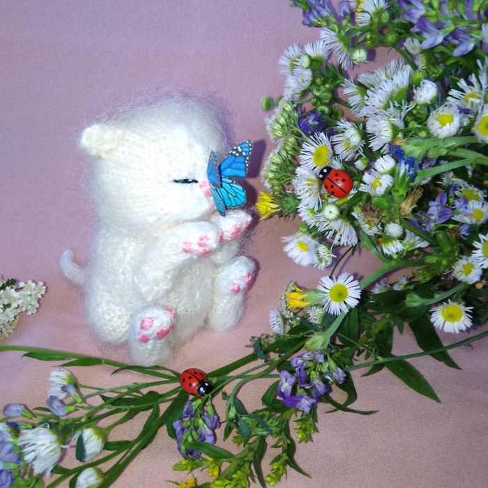 Кошеня - дарунок на свята