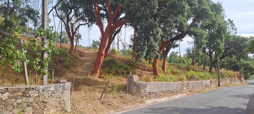 Quinta com 10 hectares, Cernache do Bonjardim, no Centro de Portugal.