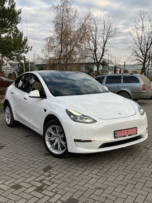 Tesla Model Y Long Range Dual Motor 82 кВт 2021