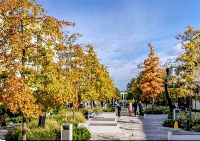 Продам 2 кім. парк Шевченко провулок Ф.Макаревського, І.Акінфієва