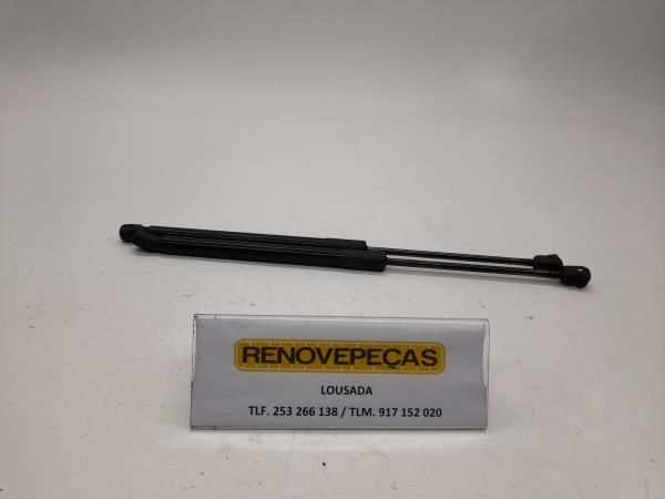 Amortecedor da mala RENAULT Clio III Grandtour (KR0/1_)