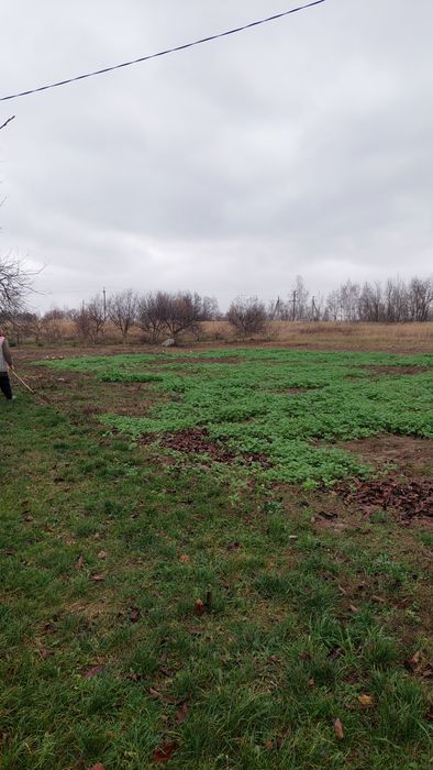 Продам дачу в селі Кіїнка