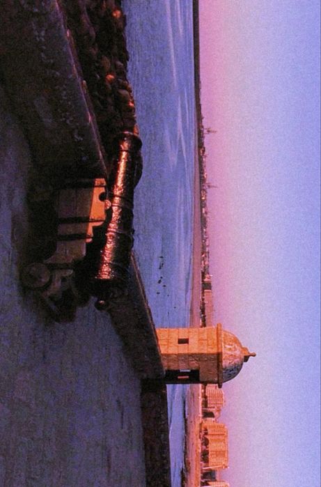 Dji Neo + Goggles N3 + Motion Controller 3 + 1 ano Care Refresh